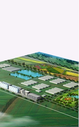 吉爾吉斯斯坦亞洲之星 農業產業合作區